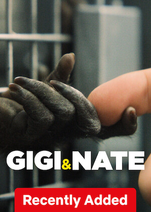 Netflix: Gigi & Nate | <strong>Opis Netflix</strong><br> Młody mężczyzna, który próbuje przystosować się do życia z tetraplegią, znajduje ukojenie w towarzystwie małpy kapucynki, jednak ich więzi grożą potężne siły zewnętrzne. | Oglądaj film na Netflix.com